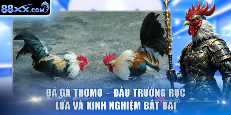 Đá Gà Thomo