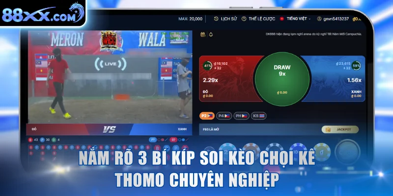 Nắm rõ 3 bí kíp soi kèo chọi kê Thomo chuyên nghiệp
