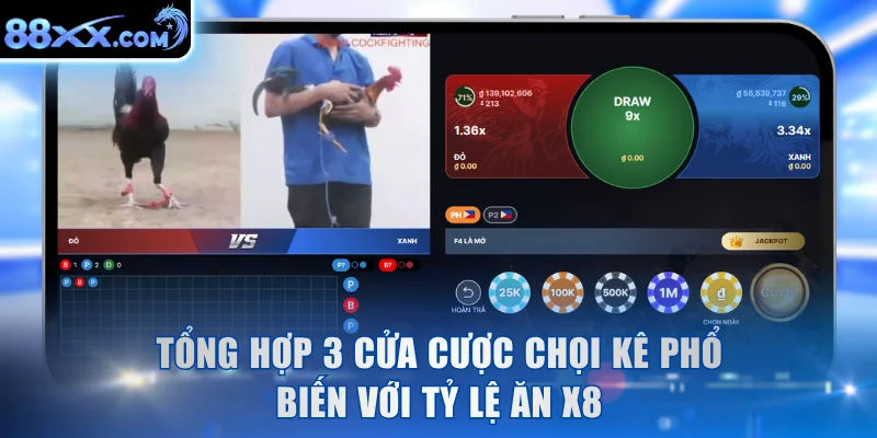 Tổng hợp 3 cửa cược chọi kê phổ biến với tỷ lệ ăn x8